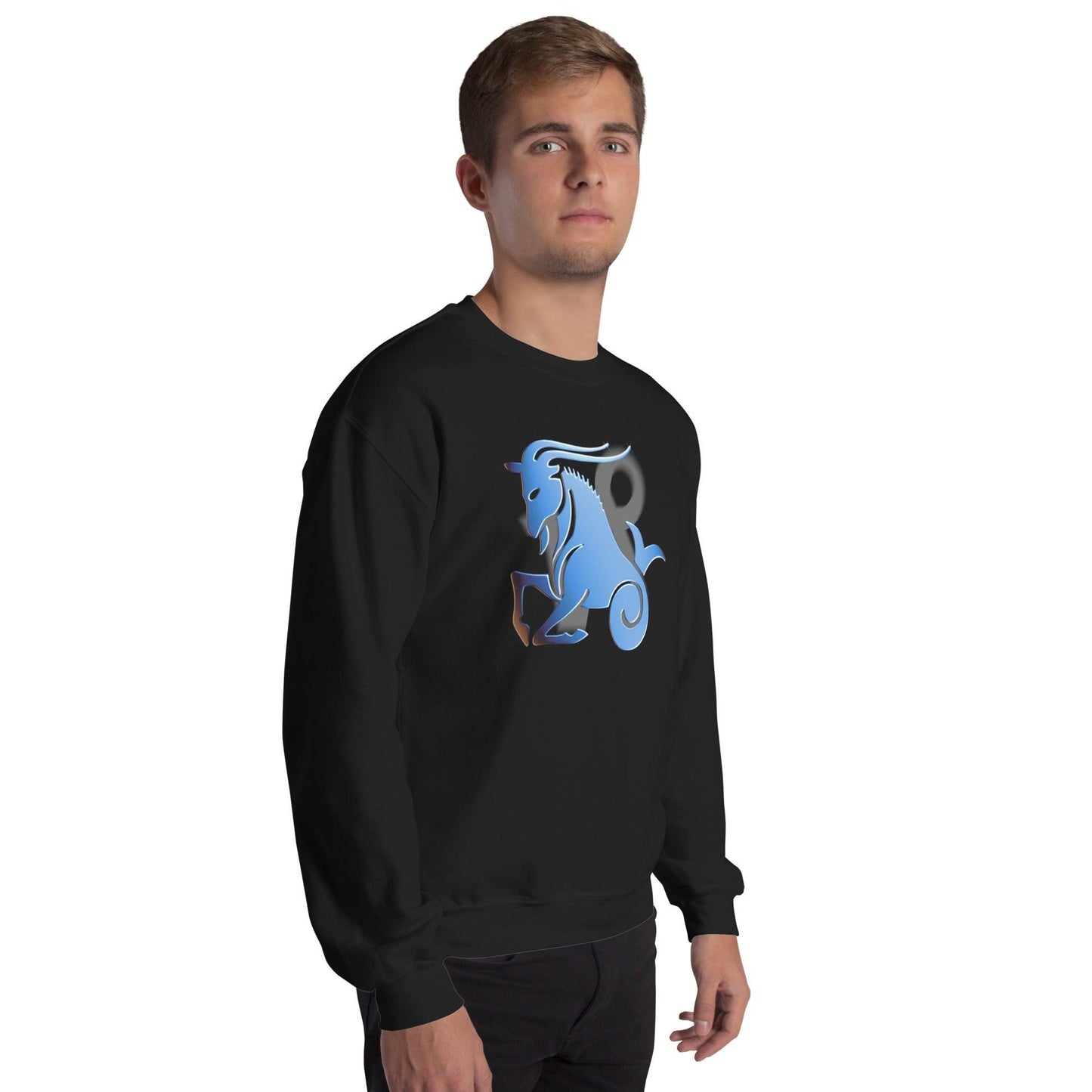 Sternzeichen Steinbock Unisex Pullover Pullover 42.99 Pullover, Steinbock, Sternzeichen JLR Design