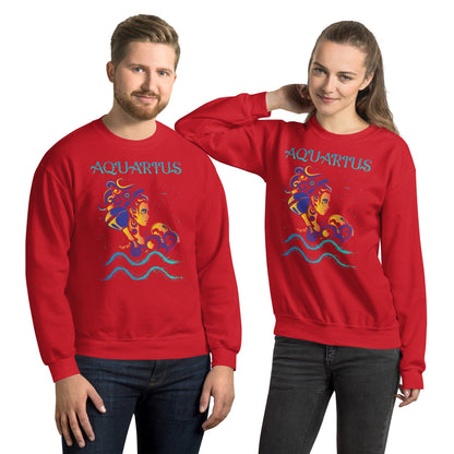 Sternzeichen Wassermann Unisex Pullover Pullover JLR Design