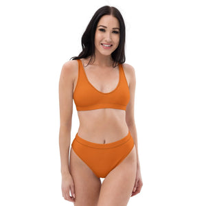 mango-tango-high-waist-bikini-bikini-jlr-design-71903 - JLR Design